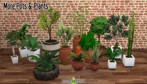 More Pots Plants By Sandy Liquid Sims