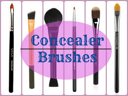 makeup brush guide concealer brushes