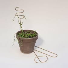 You can use garden tape that stretches as the plant grows; Brass Plant Stakes Sticks