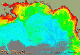 Sea Surface Temperatures Terrafin And Others The Hull