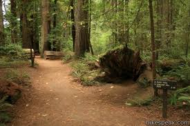 hikes in northern california