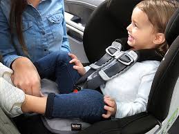 Britax Waterproof Seat Protector Baby