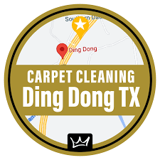 premier carpet cleaning ding dong tx