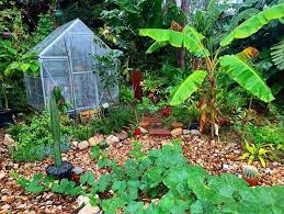 beautiful permaculture garden in