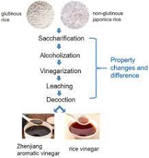 fermentation of zhenjiang vinegars