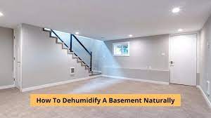 How To Dehumidify A Basement Naturally