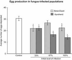 Insect Pathogenic Fungi And Bed Bugs Behaviour Horizontal