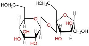 draw the structure for sugar