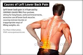 Lower back region allows you to rotate at the waist, bend, extend, and it basically carries your torso. Causes Of Left Lower Back Pain Picture