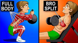 full body vs split training which is