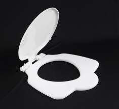 Anglo Indian Toilet Seat Cover