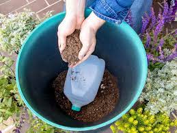 preparing flower pots for planting