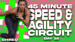 45 minute sd and agility circuit no