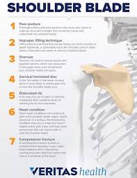 Ligaments and tendons are fibrous tissues made up of collagen fibers. 7 Possible Causes Of Pain Under Your Shoulder Blade
