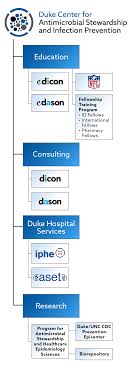 Organization Chart Duke Center For Antimicrobial