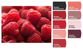 Raspberry Color