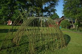 living willow fences play structures