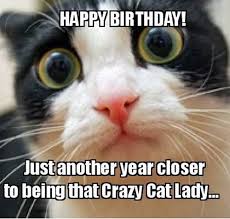 You d better run before the kids open them imgflip. 35 Cat Birthday Memes That Are Way Too Adorable Sayingimages Com