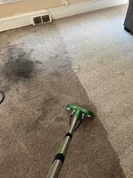 rat nasty apartment carpet cleaning