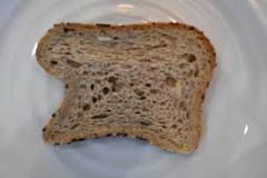 can-i-toast-carbonaut-bread