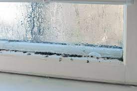 Clear Condensation On Our Windows