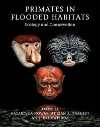 Primates In Flooded Habitats Ecology