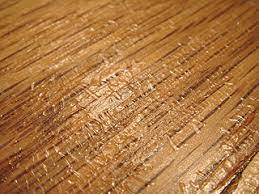 royal wood floors how to handle