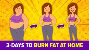 3 day easy workout to burn fat at home