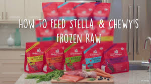 How To Feed Stella Chewys Frozen Raw Patties Dog Food