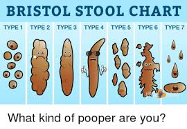 Bristol Stool Chart Type 1 Type 2 Type 3 Type 4type 5 Type 6