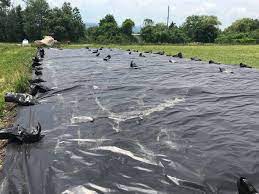 reusable black tarps suppress weeds and