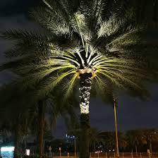 6x12w spot led palm tree light outdoor