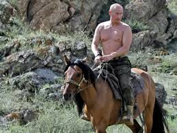 Vladimir putin riding a bear (i.redd.it). Is This Picture Of Vladimir Putin Riding A Bear Fake Or Real Quora