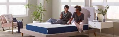 bed in a box reviews 2023 beds ranked