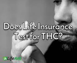 Check spelling or type a new query. Does Life Insurance Test For Thc Life Insurance Thc Test Explained
