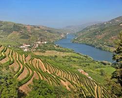 Douro Valley vineyards, Portugal