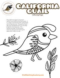 Here are some free printable quail coloring pages. Quail Bird Watching Academy