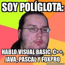 Meme Friki - SOY POLÍGLOTA: HABLO VISUAL BASIC, C++, JAVA, PASCAL ... via Relatably.com