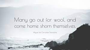 Miguel de Cervantes Saavedra Quote: “Many go out for wool, and come home  shorn themselves.”
