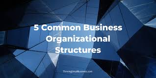 Get your management contract for recording artists and live performance artist management contracts are used by an artist manager, or other authorized representative, that intends to manage, or help, an artist's career. 5 Common Business Organizational Structures The Thriving Small Business