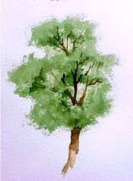 How To Paint Trees In Watercolor