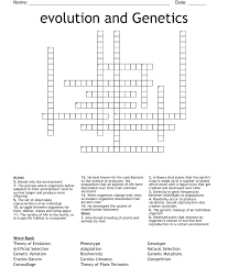 evolution and genetics crossword wordmint