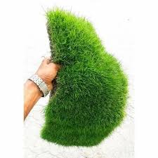natural carpet moss gr for garden