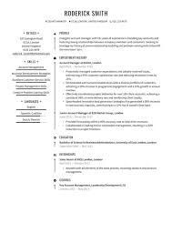 Account Manager Cv Examples Writing
