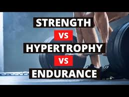 strength vs hypertrophy vs endurance