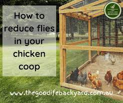 how to reduce flies in the en coop