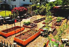 best vegetable garden layout ideas and