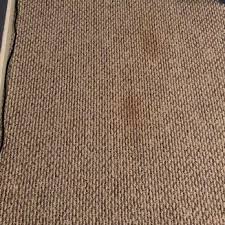 oxi fresh carpet cleaning naperville