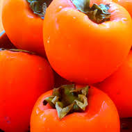 ?????????????????????? picture of persimmon fruits