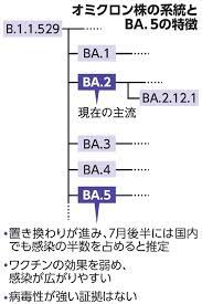 BA.5」に効くコロナ治療薬は 抗ウイルス薬は変異前とほぼ同等：朝日新聞デジタル